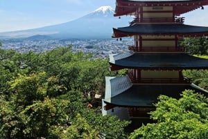 Токио: Гора Фудзи и Хаконе Частный индивидуальный тур на целый день