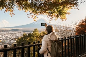 From Tokyo: Mount Fuji or Hakone Customized Day Trip