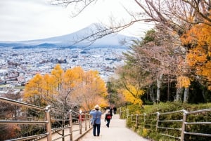 From Tokyo: Mount Fuji or Hakone Customized Day Trip