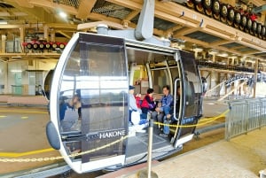 From Tokyo: Mount Fuji or Hakone Customized Day Trip