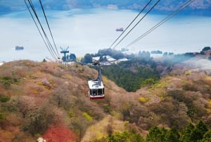 From Tokyo: Mount Fuji or Hakone Customized Day Trip