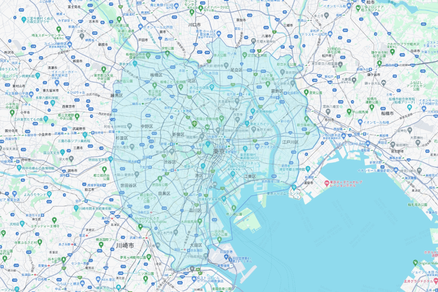 Desde Tokio: Excursión de un día al Monte Fuji o Hakone+Gotemba Outlet 10H