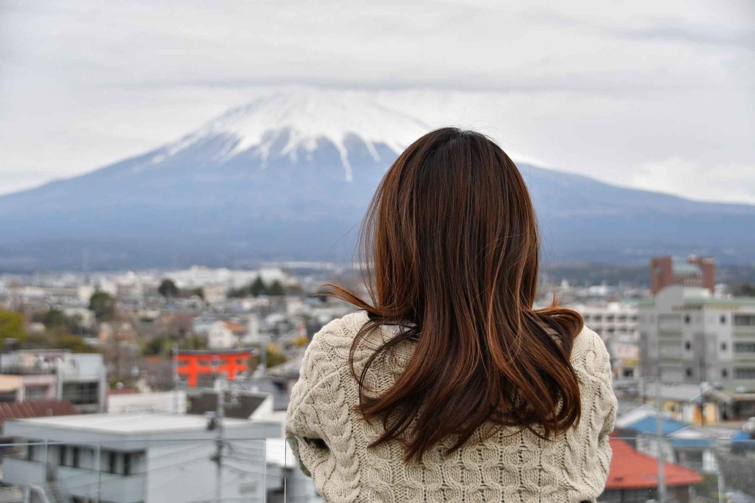 Desde Tokio: Excursión de un día al Monte Fuji o Hakone+Gotemba Outlet 10H