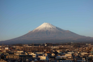 Desde Tokio: Excursión de un día al Monte Fuji o Hakone+Gotemba Outlet 10H