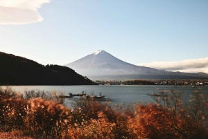 Desde Tokio: Excursión de un día al Monte Fuji o Hakone+Gotemba Outlet 10H