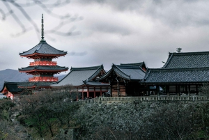 Desde Tokio: Excursión de un día al Monte Fuji o Hakone+Gotemba Outlet 10H