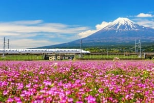 From Tokyo: Mount Fuji, Oshino Hakkai, & Hot Springs Tour