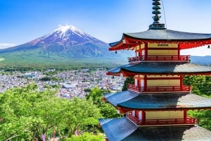 From Tokyo: Mount Fuji, Oshino Hakkai, & Hot Springs Tour