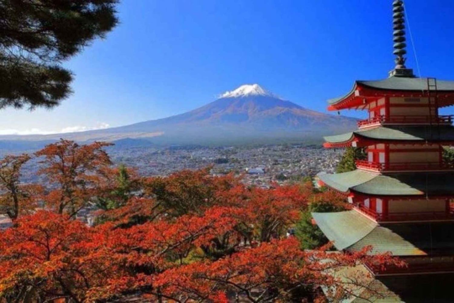 Fra Tokyo: Privat skræddersyet tur til Fuji-bjerget med engelsk