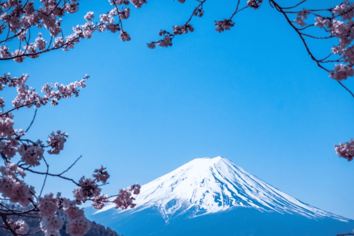 Fra Tokyo: Privat skræddersyet tur til Fuji-bjerget med engelsk