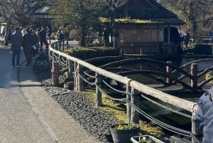 Fra Tokyo: Privat skræddersyet tur til Fuji-bjerget med engelsk