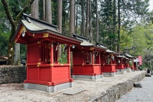 Fra Tokyo: Privat skræddersyet tur til Fuji-bjerget med engelsk