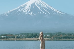 Vanuit Tokio: Privétour van een dag naar de berg Fuji, volledig aanpasbaar