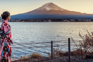 Vanuit Tokio: Privétour van een dag naar de berg Fuji, volledig aanpasbaar