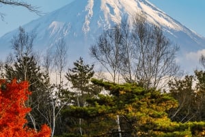 Vanuit Tokio: Privétour van een dag naar de berg Fuji, volledig aanpasbaar
