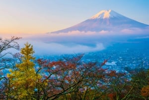 Vanuit Tokio: Privétour van een dag naar de berg Fuji, volledig aanpasbaar