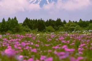 Vanuit Tokio: Privétour van een dag naar de berg Fuji, volledig aanpasbaar