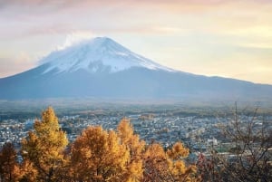 Vanuit Tokio: Privétour van een dag naar de berg Fuji, volledig aanpasbaar