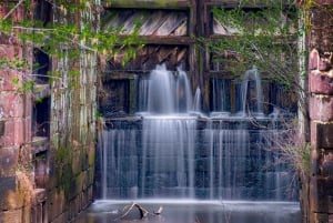 Vanuit Tokio: Privétour van een dag naar de berg Fuji, volledig aanpasbaar