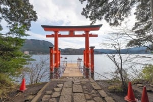 Vanuit Tokio: Privétour van een dag naar de berg Fuji, volledig aanpasbaar