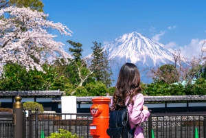 Vanuit Tokio: Privétour van een dag naar de berg Fuji, volledig aanpasbaar