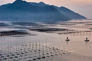Vanuit Tokio: Privétour van een dag naar de berg Fuji, volledig aanpasbaar