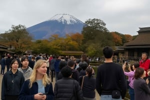 Vanuit Tokio: Privétour van een dag naar de berg Fuji, volledig aanpasbaar