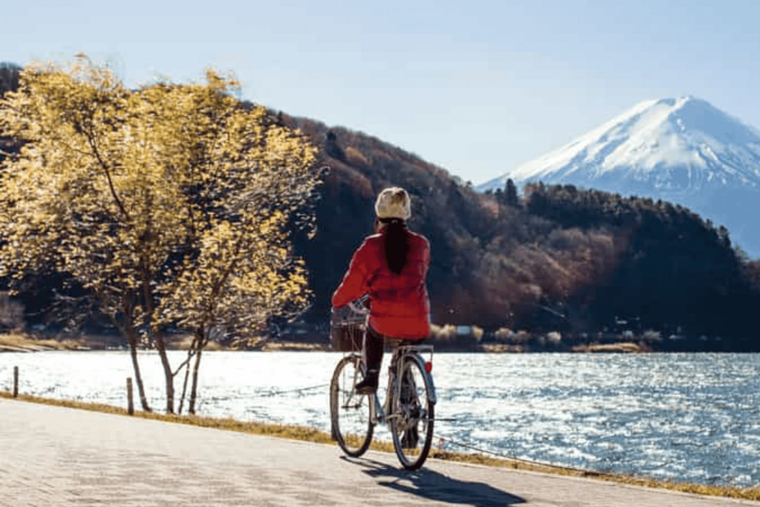 Depuis Tokyo : visite d'une journée privée au Mont Fuji avec un chauffeur anglophone