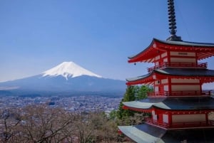 From Tokyo : Mount Fuji Private Day Tour with English Driver