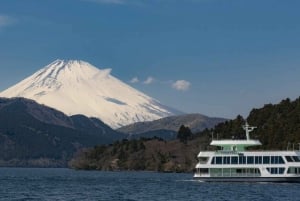 From Tokyo : Mount Fuji Private Day Tour with English Driver