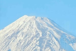 From Tokyo : Mount Fuji Private Day Tour with English Driver