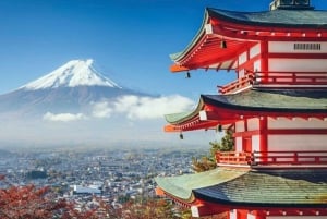 From Tokyo : Mount Fuji Private Day Tour with English Driver