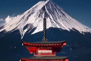 From Tokyo : Mount Fuji Private Day Tour with English Driver