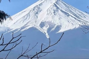 From Tokyo : Mount Fuji Private Day Tour with English Driver