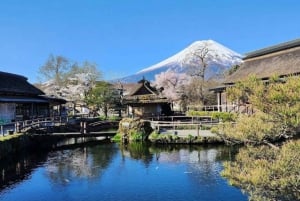 From Tokyo : Mount Fuji Private Day Tour with English Driver