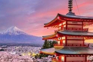 From Tokyo: Mount Fuji And Hakone Private Full Day Trip