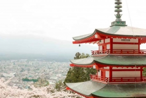 From Tokyo: Mount Fuji And Hakone Private Full Day Trip