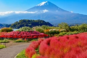 From Tokyo: Mount Fuji And Hakone Private Full Day Trip