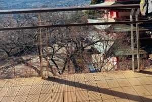 Z Tokio: prywatna wycieczka 1-dniowa na Fudżi z angielskim kierowcą