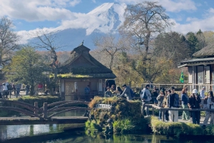 Z Tokio: prywatna wycieczka 1-dniowa na Fudżi z angielskim kierowcą