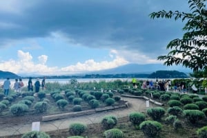 Z Tokio: prywatna wycieczka 1-dniowa na Fudżi z angielskim kierowcą