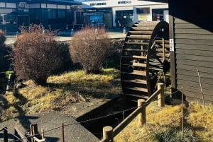 Z Tokio: prywatna wycieczka 1-dniowa na Fudżi z angielskim kierowcą