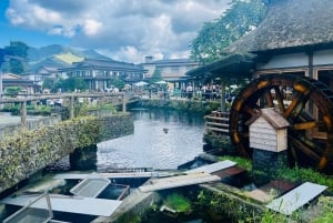 Z Tokio: prywatna wycieczka 1-dniowa na Fudżi z angielskim kierowcą