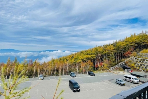 Z Tokio: prywatna wycieczka 1-dniowa na Fudżi z angielskim kierowcą