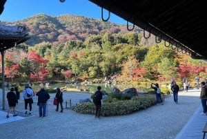 Z Tokio: prywatna wycieczka 1-dniowa na Fudżi z angielskim kierowcą