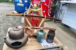 Z Tokio: prywatna wycieczka 1-dniowa na Fudżi z angielskim kierowcą