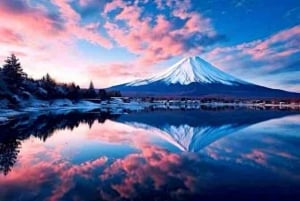 Da Tokyo: tour privato di un giorno al Monte Fuji con guida in inglese