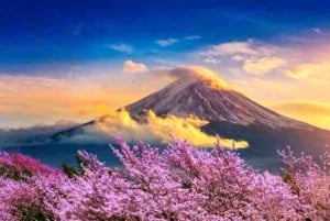 Da Tokyo: tour privato di un giorno al Monte Fuji con guida in inglese