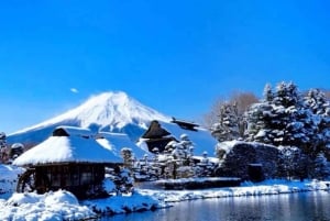 Da Tokyo: tour privato di un giorno al Monte Fuji con guida in inglese