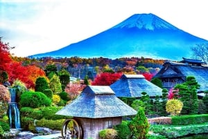 Da Tokyo: tour privato di un giorno al Monte Fuji con guida in inglese
